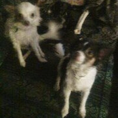 Profile Picture of Kate Canfield (@KC427) on Twitter