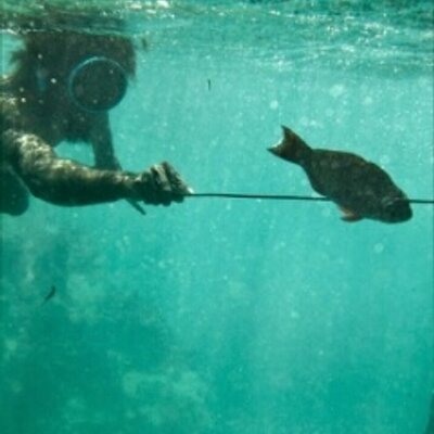 Profile Picture of Anirban Chatterjee (@anir_j) on Twitter