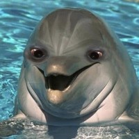 Profile Picture of Grant Krebs (@grant-krebs) on Quora