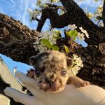 Profile Picture of Jonathan Wolf (@nation_wide_family_wolf) on Instagram