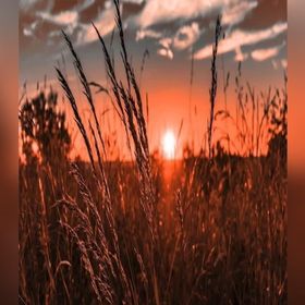 Cheyenne - Pinterest Profile Picture of Cheyenne (@bollingercheyenne) on Pinterest