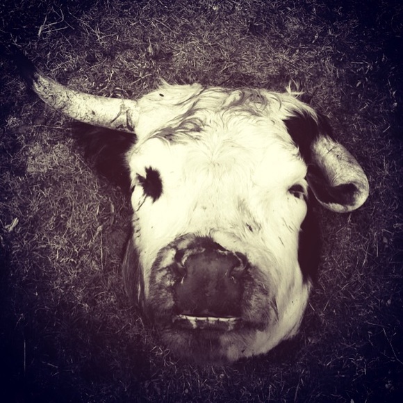 Kimberly Meece - Poshmark Profile Picture of Kimberly Meece (@kmeece666) on Poshmark