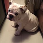 Profile Picture of Berta Pinto (@berta_pinto_64) on Instagram