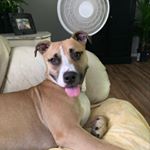 Andrew Pacak - Instagram Profile Picture of Andrew Pacak (@pacak.andrew) on Instagram