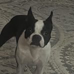 Profile Picture of Aidan Joyce (@arjoyce12) on Facebook