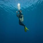 Profile Picture of James Temple (@james.temple1) on Instagram