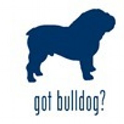 Profile Picture of Kristin Cramer (@bulldoginc) on Twitter