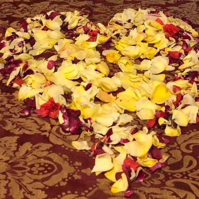 Denis Cisneros - Twitter Profile Picture of Denis Cisneros (@deniscisneros11) on Twitter