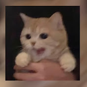 Profile Picture of Calla Johnson (@CallaJohnson-td7fz) on Youtube