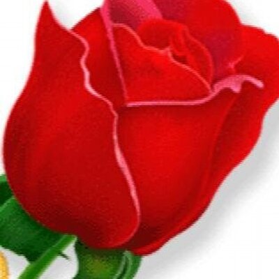 Profile Picture of Pardeep Sharma (@p4pardeepsharma) on Twitter