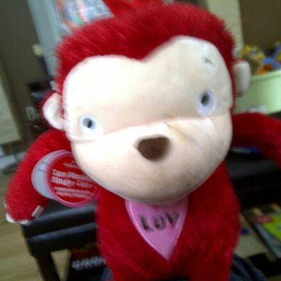 Profile Picture of Christie Chapman (@christies2242) on Twitter