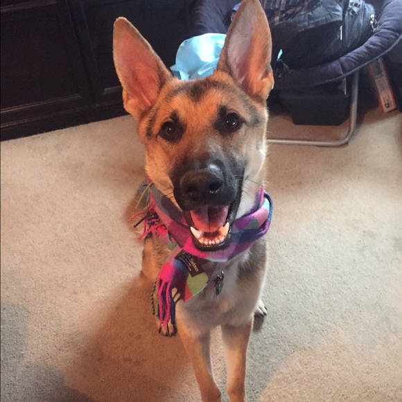 Profile Picture of Courtney Teschendorf (@cmtesche) on Poshmark