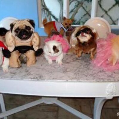 Profile Picture of Peter Marceau (@Petermarceau) on Twitter