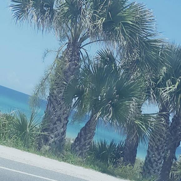 Rivera Gonzalez - Poshmark Profile Picture of Rivera Gonzalez (@htdandt) on Poshmark