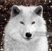Profile Picture of Bobby Keener (@bobby.keener.102) on Facebook