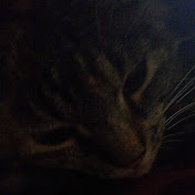 Profile Picture of Amanda Hull (@amandahull6799) on Youtube