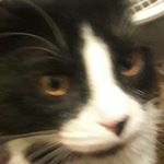 Profile Picture of joseph mcghee (@jmcghee1208) on Instagram