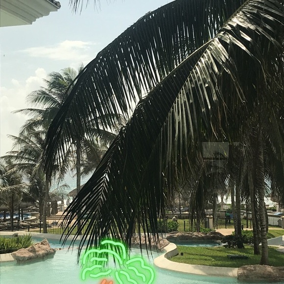 Profile Picture of Alyaa Alaziz (@alyaa_alaziz) on Poshmark