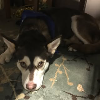 Profile Picture of Keaton Douglas (@douglas.keaton) on Instagram