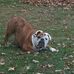 Profile Picture of Terry Ludwig (@terry.ludwig.1460) on Facebook