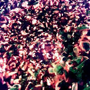 Profile Picture of Stephen Meyer (@Chaoticburn) on Youtube