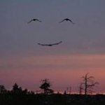 Profile Picture of Jacky Cayabyab (@jackycayabyab15) on Instagram