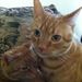 Profile Picture of Jeremy Beeler (@jeremybeeler) on Pinterest