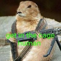 Profile Picture of Kevin Saiz (@kevin-saiz) on Quora