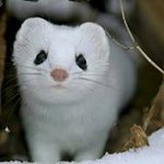 Profile Picture of Jaime McCormack (@jaimemccormack7) on Instagram