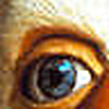 Profile Picture of howard_samuels (@howard_samuels) on Flickr