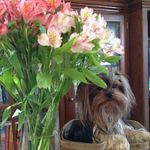 Profile Picture of Dawn Zecman Worley (@dawn_worley1) on Instagram