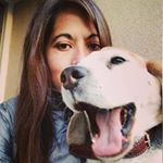 Profile Picture of María José Pulgar 📲💻📷 🧡🤍💚 (@majosepul) on Instagram