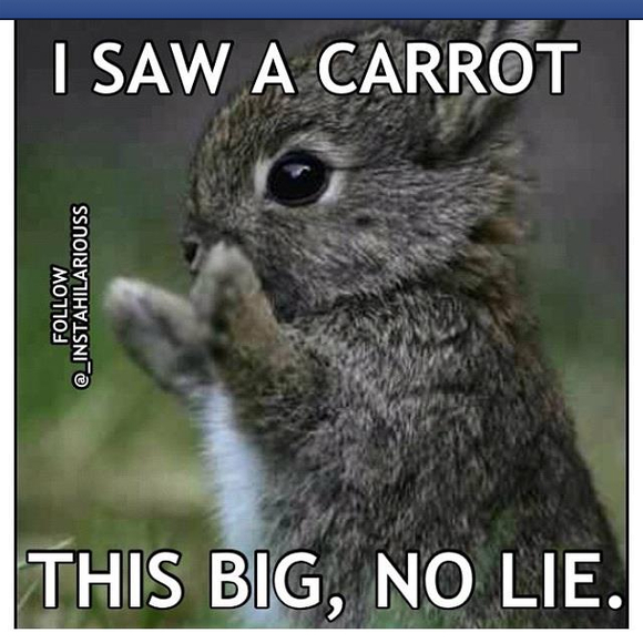 Profile Picture of Yma Hasegawa (@kuu) on Poshmark