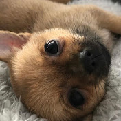 Profile Picture of Mel Lucas (@mellucas165) on Youtube