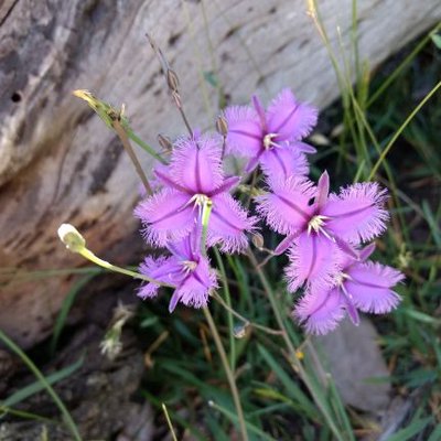 Profile Picture of Jo Russell-Clarke (@JoRussellClark1) on Twitter