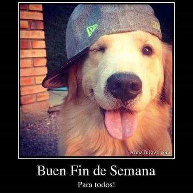 Profile Picture of David Neuer Flores D (@FloresNeuer) on Twitter