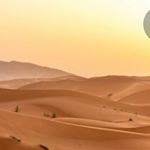 Profile Picture of Leo McCoy (@mccoy_leo) on Instagram