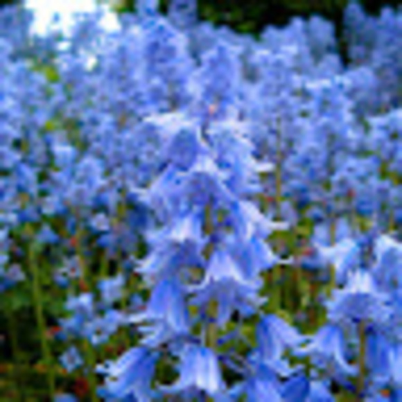 Profile Picture of Audrey Andrews (@9435691714) on Poshmark