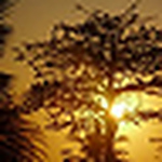 CRIS  SILVA LOPEZ VILLA VERDE - Flickr Profile Picture of CRIS  SILVA LOPEZ VILLA VERDE (@crisk2010) on Flickr