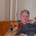 Linda Engle Gepfer - Instagram Profile Picture of Linda Engle Gepfer (@lindagepfer_) on Instagram