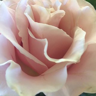 Profile Picture of Martha Travis (@Martha-Travis) on Facebook