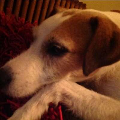 Profile Picture of Jeff Laurin (@Fingers999) on Twitter
