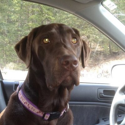 Profile Picture of Aaron Cousins (@gpyardservices) on Twitter