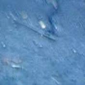 Profile Picture of David Lindell (@mxdavid95m) on Youtube