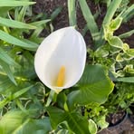 Profile Picture of Maria Montesino (@maria.montesino.370) on Facebook