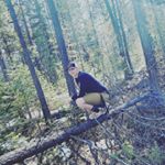 Profile Picture of Amelia Freeman (@ameliar204) on Instagram