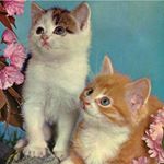 Profile Picture of earlcavenoticeme (@earlcavenoticeme) on Instagram