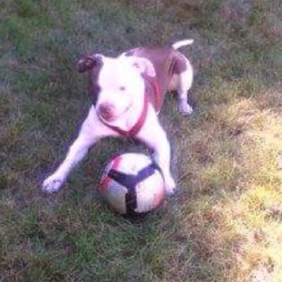 Profile Picture of Nathan Bunnell (@Nathan011705) on Twitter