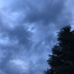 Profile Picture of Lance Wayne (@sir_lance_wayne) on Instagram