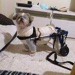 Profile Picture of Rocio Neira Gayoso (@rocio_tomy) on Instagram